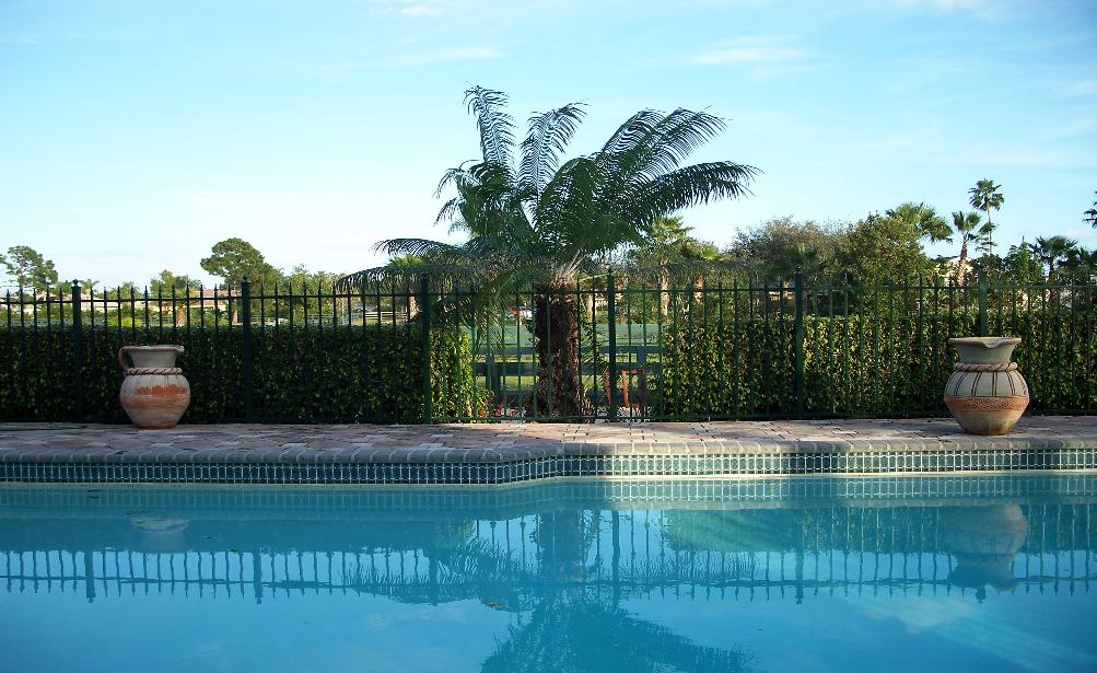 Fence Contractor and Installation Swimming Pool Aluminum Fence Enclosure