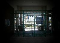 Wholesale Ornamental Gate Installation and Custom Fabrication